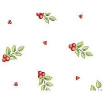 CELLO ROLL: RED BERRIES-#228 : 30"X50'